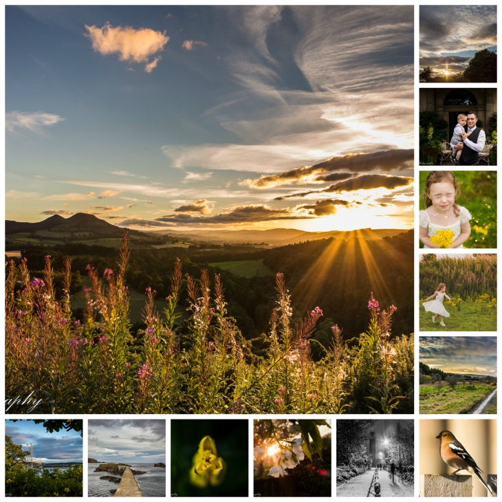PicMonkey Collage lynne